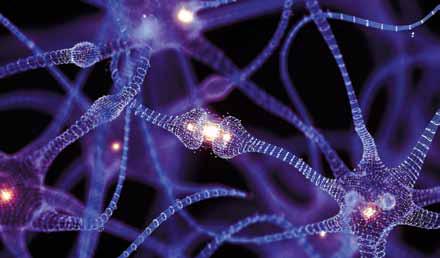 The Emerging Wonderland Of 'LIVING' COMPUTER SYSTEMS